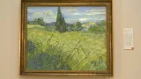 Vincent van Gogh / Zelené obilí