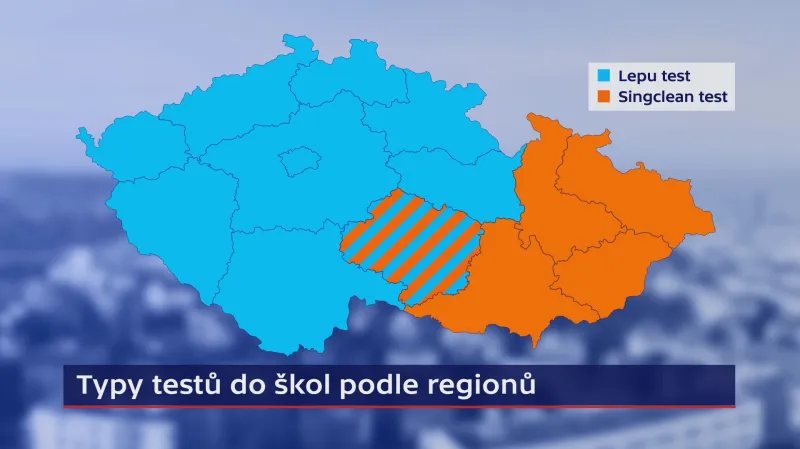 Typy testů ve školách