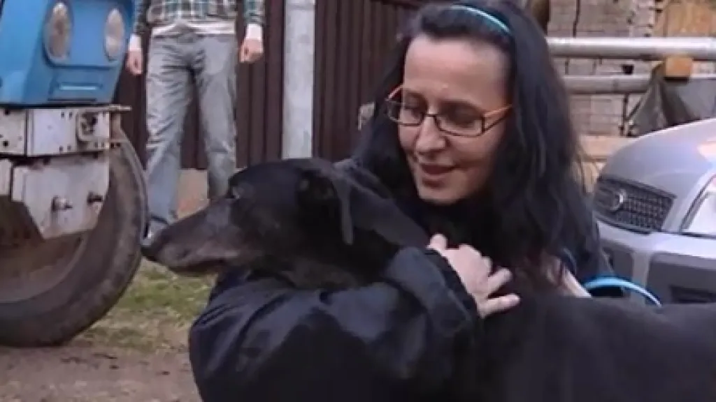 Noví majitelé přivítali týrané a zanedbávané greyhoundy s láskou