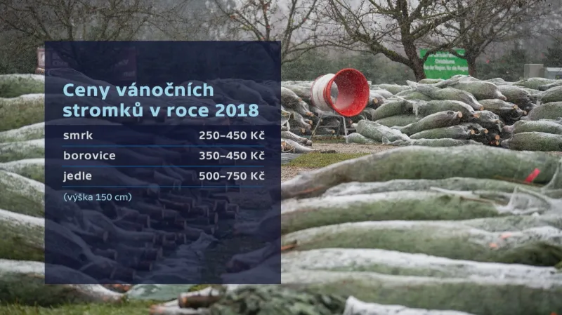 Ceny vánočních stromků v roce 2018