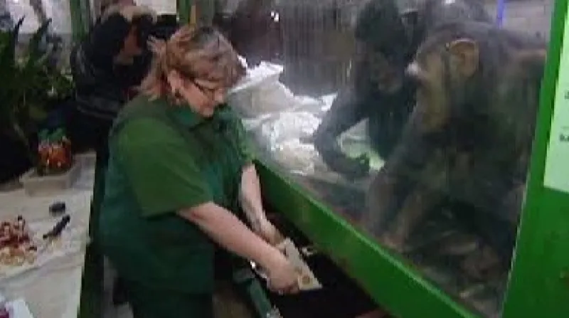 Kuchařka rozděluje narozeninové menu