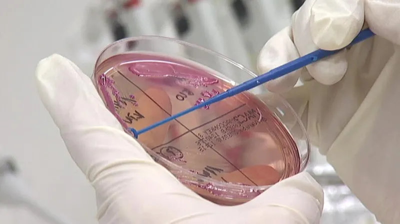 Biologická laboratoř