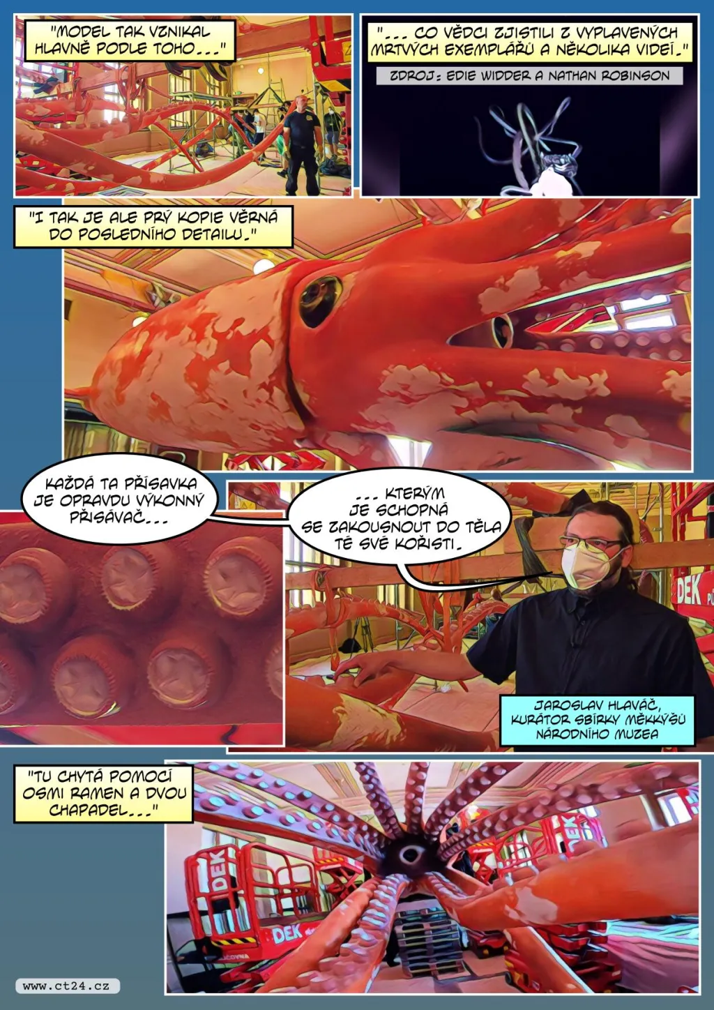 Obří krakatice v Národním muzeu