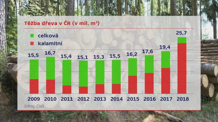 Těžba dřeva v ČR