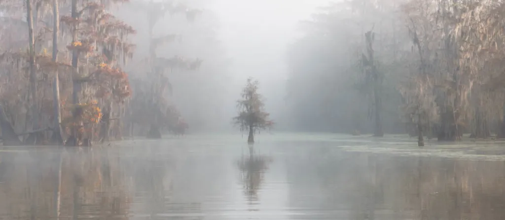 2. místo v kategorii Příroda. Jezero Martin, Louisiana, USA