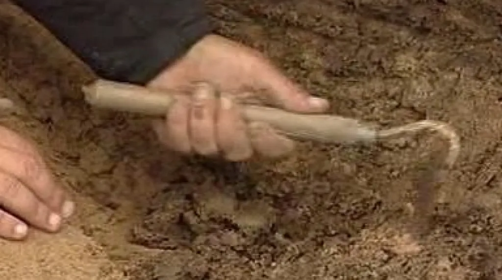 Archeologický průzkum
