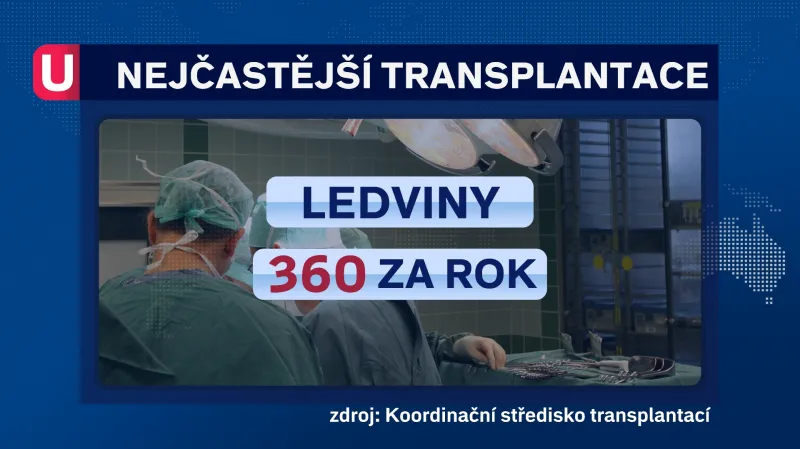 Nejčastější transplantace