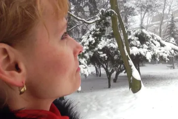 Za zápach v Krušných horách mohou i Němci, ukázal dvouletý výzkum