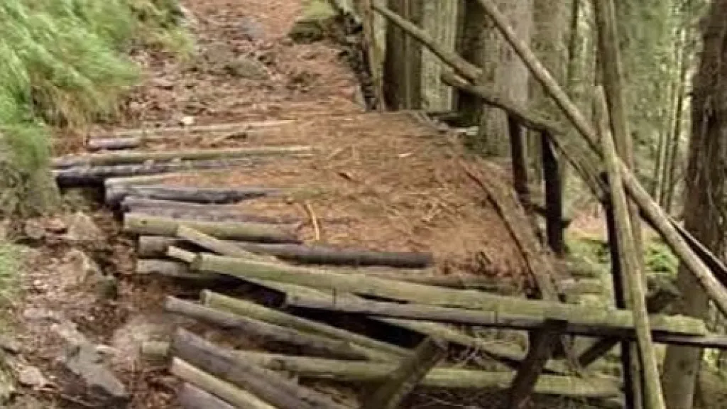 Současný stav lávkové cesty