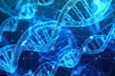 Čeští vědci vytvořili přepínač DNA, který umí vypnout vybraný gen. Může pomoci v boji s nemocemi