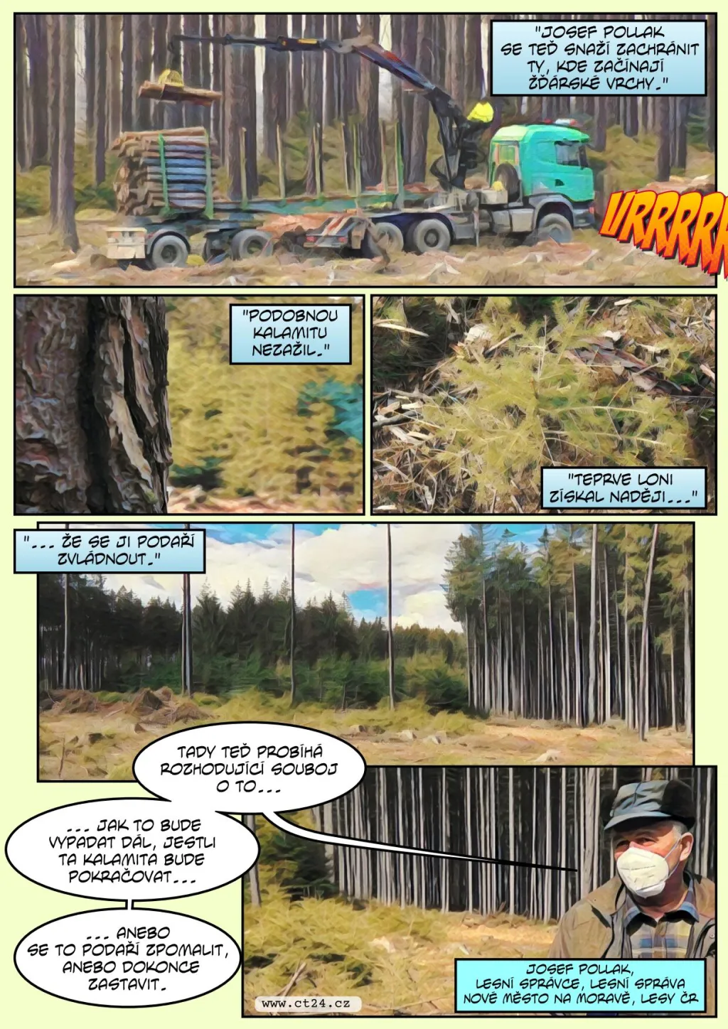 Lesníci loni zasadili 200 milionů stromů