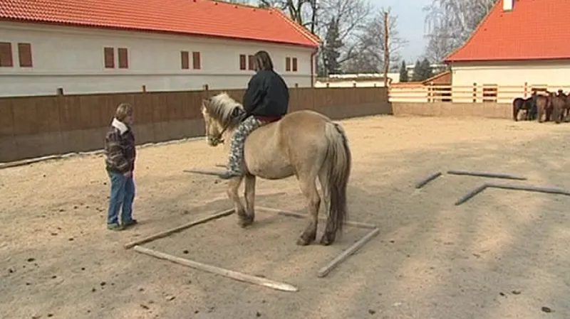 Domy dětí a mládeže na Vysočině připravily na letošní jarní prázdniny novinku – pobyty se zvířaty.