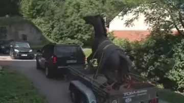 Převoz sochy koně do Kovalovic