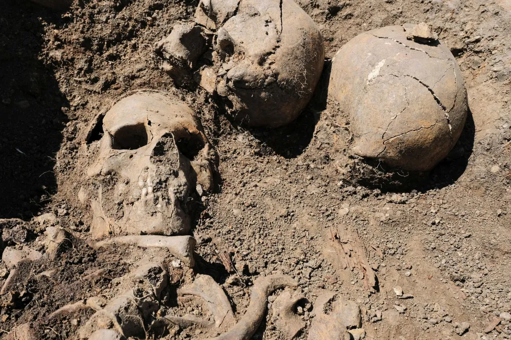 V průběhu několika set let pohřbívání docházelo často k tomu, že byly narušený staré hroby. Ostatky z nich se pak uložily do nově vykopaných hrobů – jako v tomto případě. V pravém spodním rohu jsou rozpoznatelné i zbytky dřeva z původní rakve