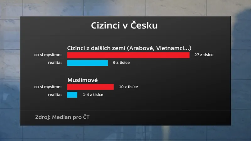 Cizinci v Česku