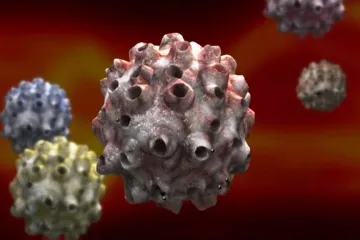 Dámy, nepodceňujte prevenci, varují gynekologové