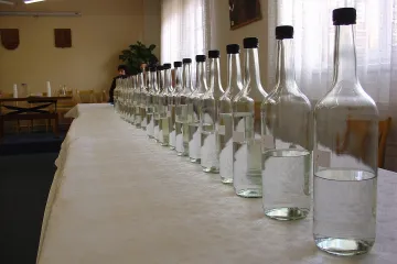 Košt domácích pálenek a koblížků ve Skalici nad Svitavou