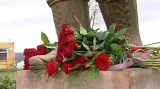 Růže u pomníku
