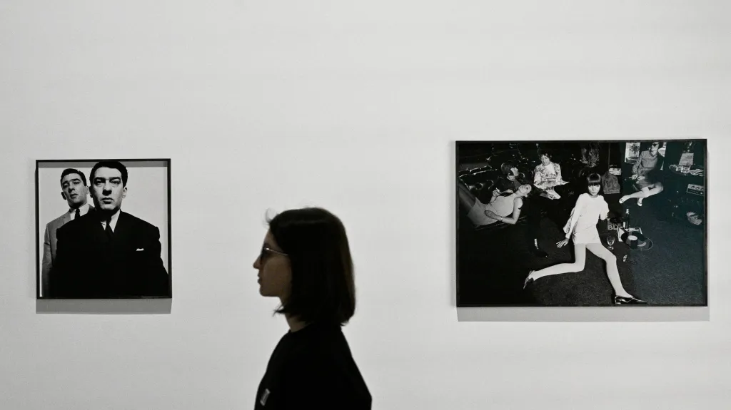 Výstava Bohemia: Příběh fenoménu 1950–2000
