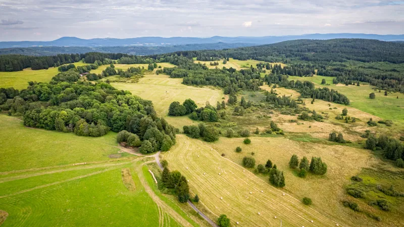 Jedlina v současnosti. Z obce nezbylo nic