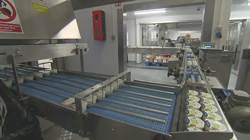 Mlékárna Glenisk se obává, že brexit bez dohody tvrdě zasáhne její aktivity