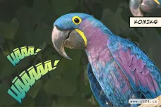 Exotičtí ptáci v hlavním městě. Pražská zoo disponuje novým pavilonem
