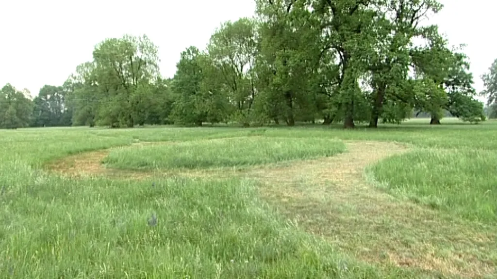 Původní strukturu zednářské zahrady naznačilo vysekání trávy