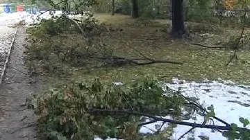 Následky sněhové kalamity