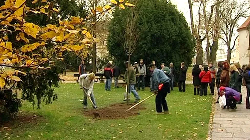 Oslavy 10. výročí písecké Naděje