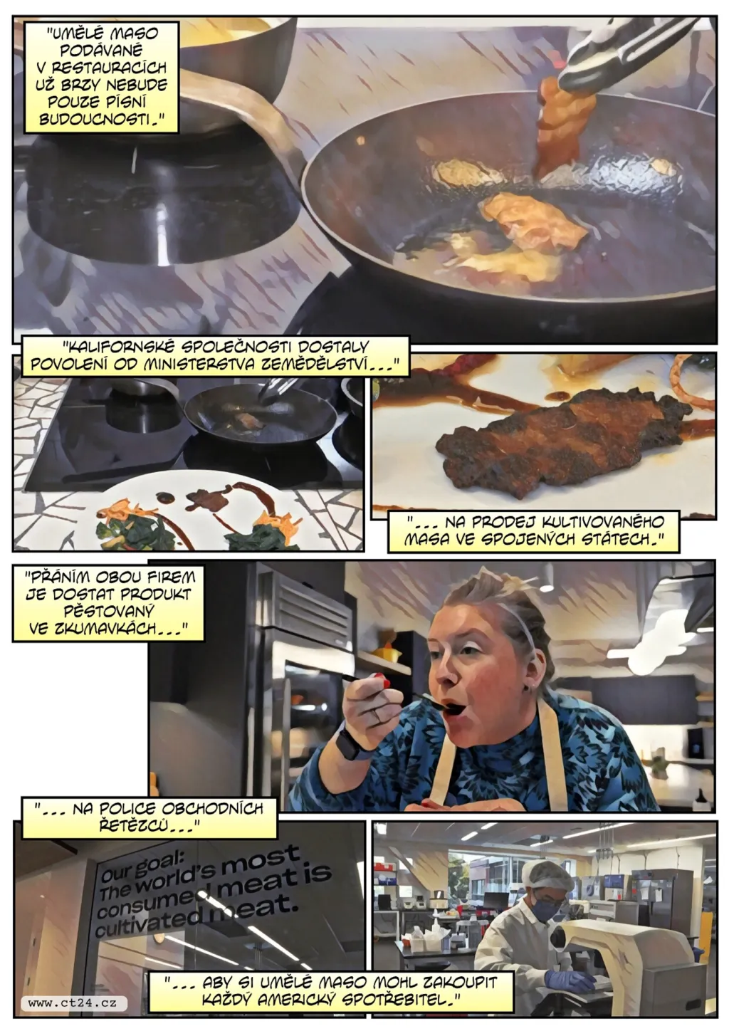 V USA povolili prodej umělého masa