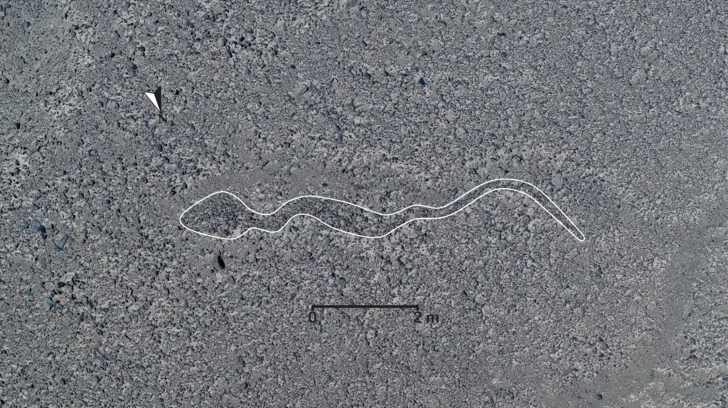 Nové obrazce na planině Nazca