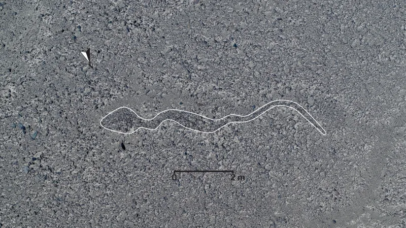 Nové obrazce na planině Nazca