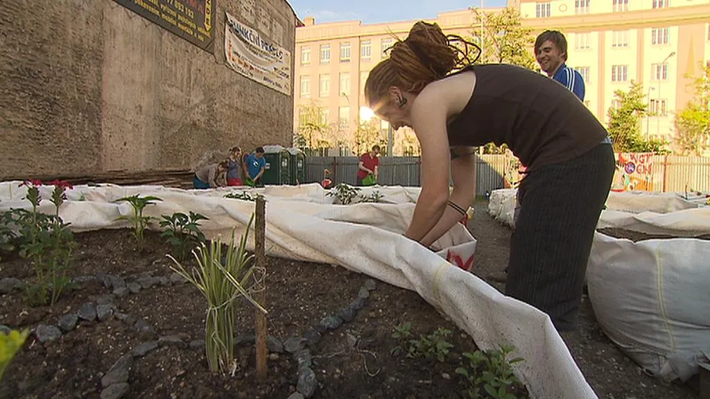 Komunitní zahradničení