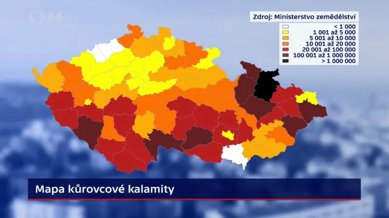 Mapa kůrovcové kalamity (objem napadených stromů v metrech krychlových)