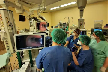 Pacientům s chronickou bronchitidou může pomoci zničení buněk produkujících hlen