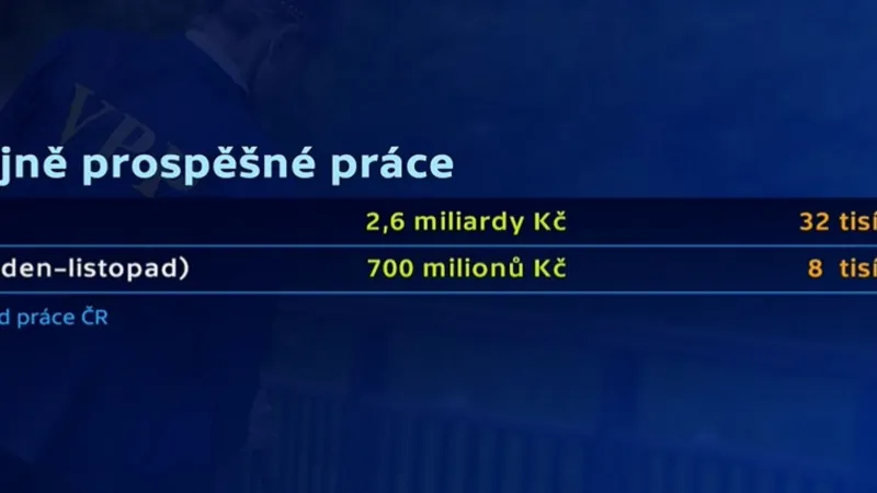 Veřejně prospěšné práce
