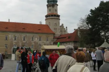 Brány města dokořán