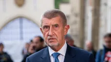 Předseda ANO Andrej Babiš