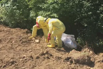 Prasečí mor pomohou likvidovat fotopasti, nasazena je i armáda