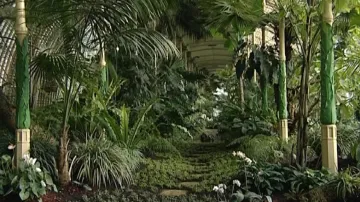 Skleník ukrývá stovky exotických druhů rostlin