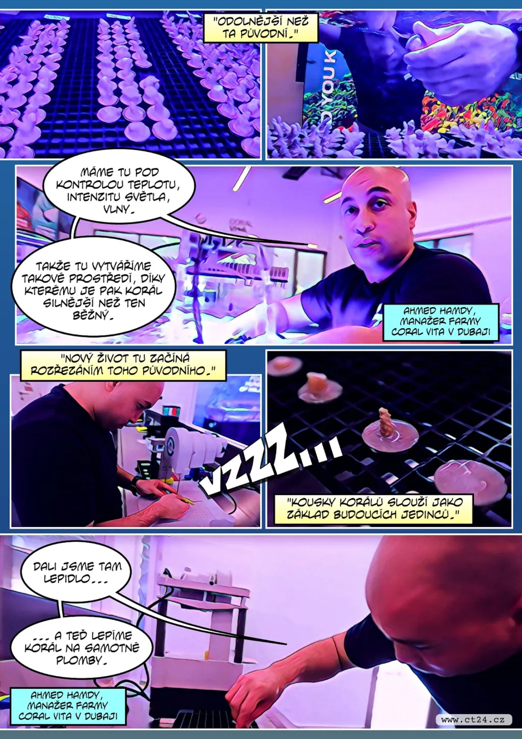 V laboratořích pěstují korály, aby zachránili útesy