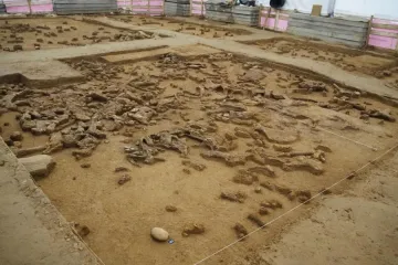 Nejméně 13 mamutů i nástroje lovců. Vědci našli v Ústí jedinečný pravěký tábor