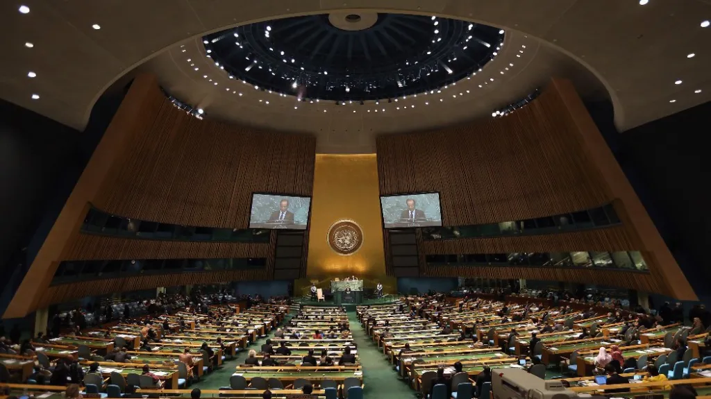 Valné shromáždění OSN