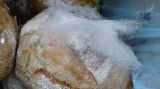 Plíseň na pečivu z litoměřického Kauflandu