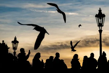 Na začátku týdne dosáhnou teploty až 15 stupňů, meteorologové varují před silným větrem