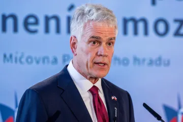 Česko riskuje, že bude mezi státy NATO s nejnižšími výdaji na obranu, řekl velvyslanec USA