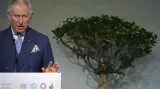 Pokračuje klimatická konference v Paříži
