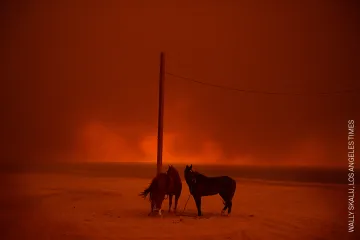 Nominace World Press Photo: Nejhorší životní prostředí může být nejlepší