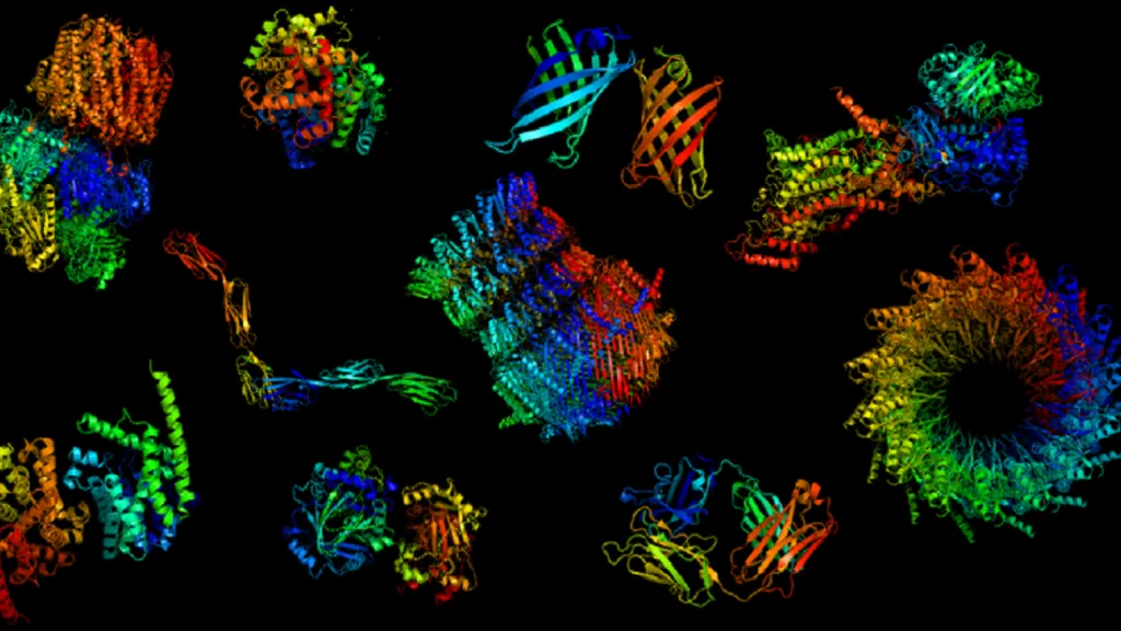 Proteiny, ilustrační foto