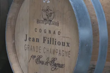 Francouzští vinaři se obávají cel z USA. Reagují na ně i inovacemi